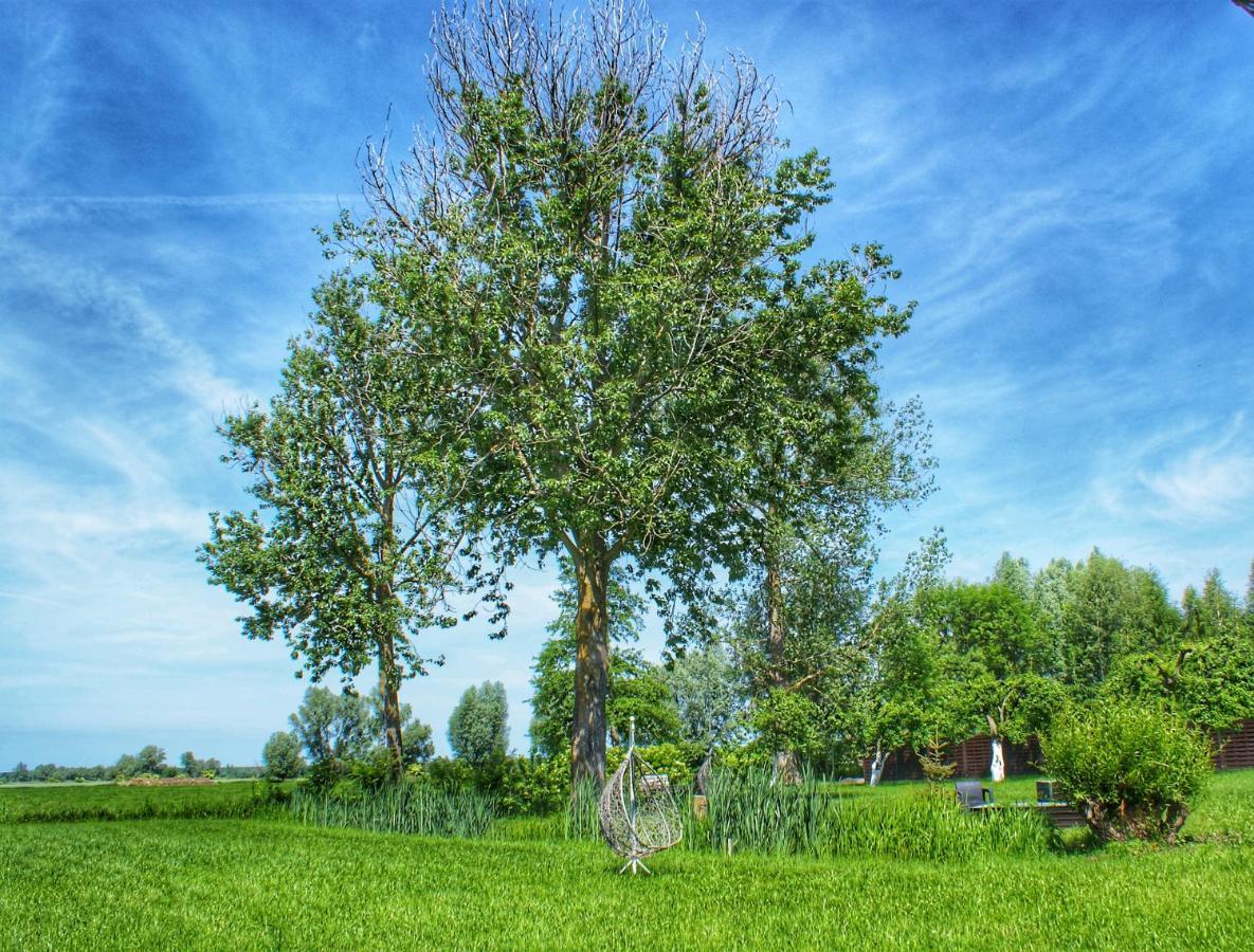 "Dolina" Na Zulawach Bed & Breakfast Nowe Dolno Eksteriør bilde